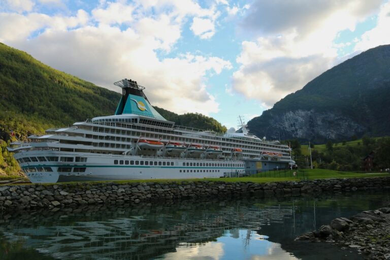 The Ultimate Checklist for Cruise Supply Shopping