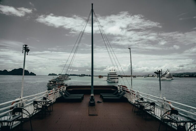 Navigating the World of Cruise Adventure Supplies